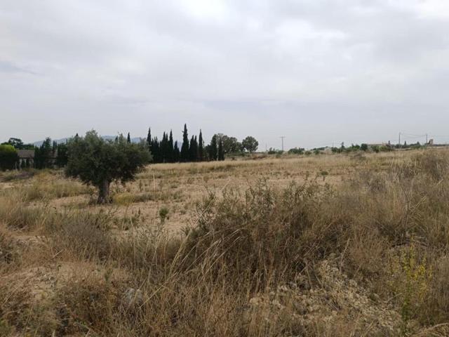 Terreno en venta en Lorca, Sangonera la Seca photo 0