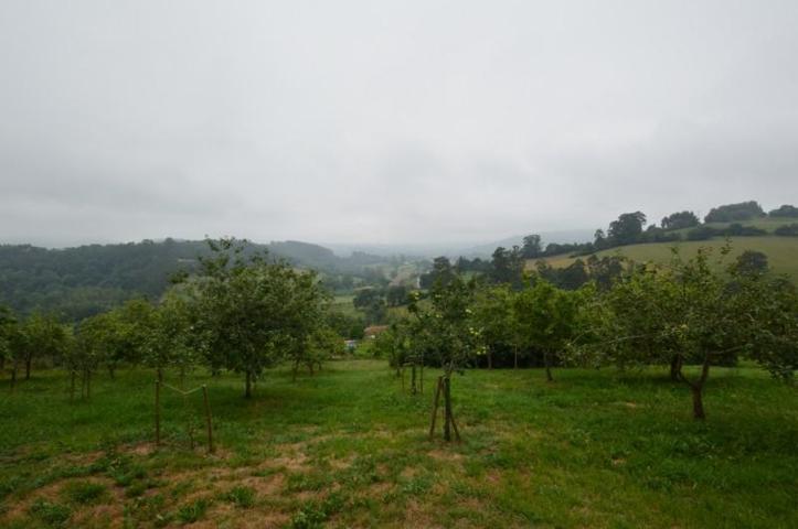 Casa en venta en Villaviciosa, Villaviciosa photo 0