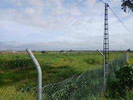 Terreno en venta en Gibraleón, El pintado photo 0