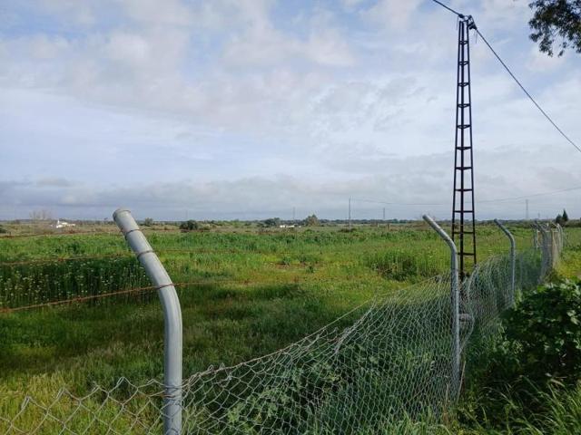 Terreno en venta en Gibraleón, El pintado photo 0