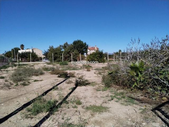 Terreno en venta en Deltebre, Costa dorada photo 0