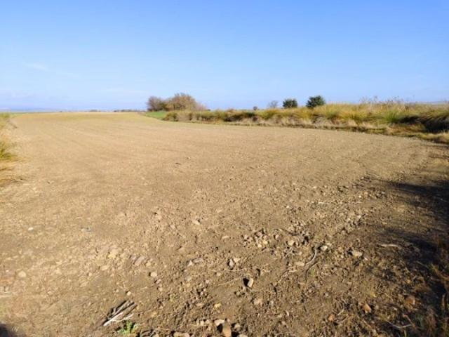 Terreno en venta en Fuente el Saz de Jarama, San Miguel photo 0