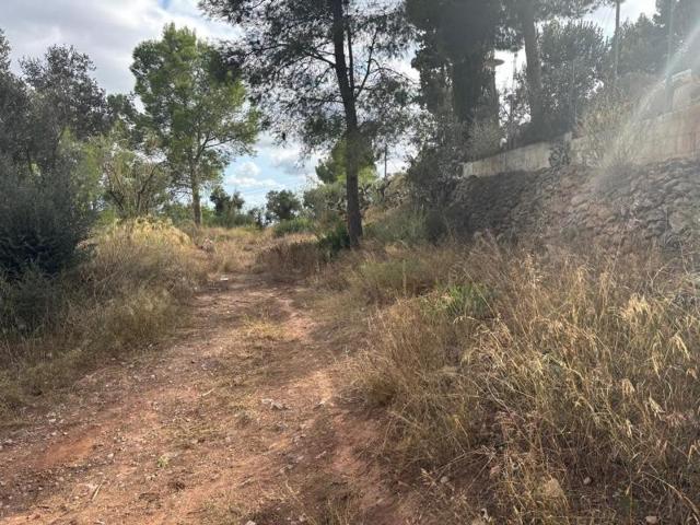 Terreno en venta en Castellvell del Camp, Castellvell del camp photo 0