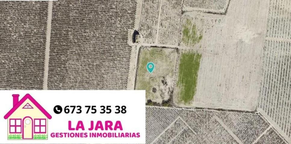 Terreno en venta en Sanlúcar de Barrameda, Camino del Hornillo, 11540 photo 0