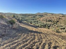 Terreno en venta en Archidona, Archidona photo 0