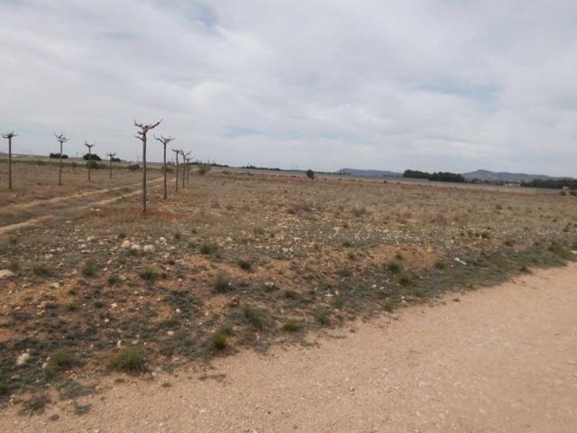 Terreno en venta en Almansa, Almansa photo 0