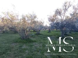 Terreno en venta en Viator, Paseo de Viator photo 0