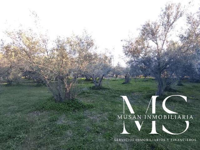 Terreno en venta en Viator, Paseo de Viator photo 0