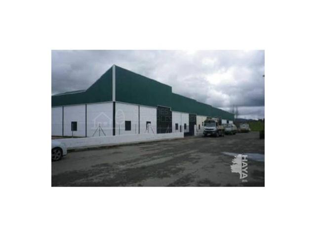 Nave industrial en venta en Moraleja photo 0