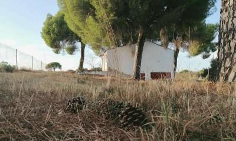 Terreno en venta en Garrovillas de Alconétar, Garrovillas photo 0