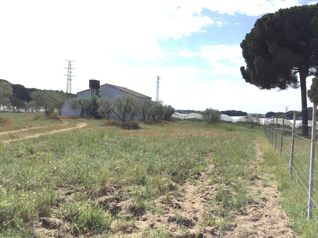 Chalet en venta en Almonte, Montehigo photo 0