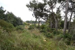 Terreno en venta en Vilanova i la Geltrú, Corral D`en Mila photo 0