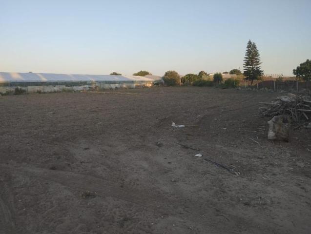 Terreno en venta en Sanlúcar de Barrameda, La Jara photo 0