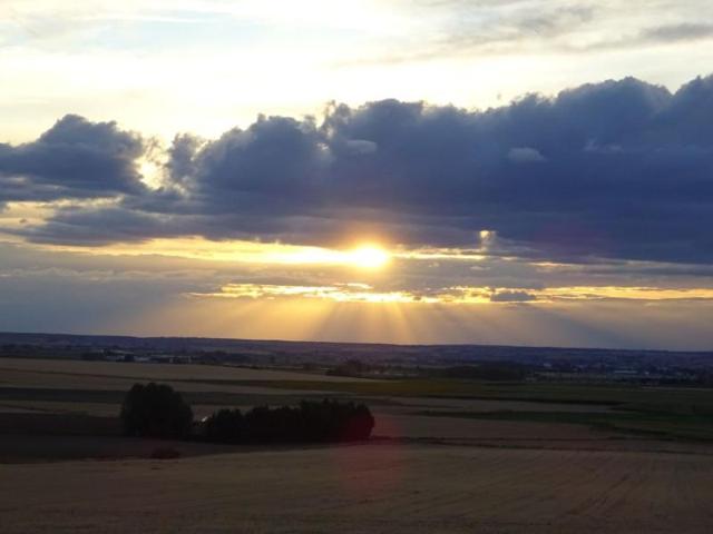 Terreno en venta en Moraleja del Vino, Moraleja Del Vino photo 0