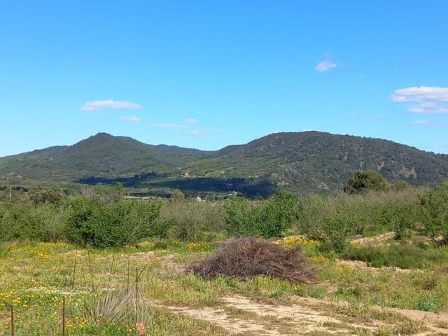 Terreno en venta en Vilaplana, Cataluna photo 0