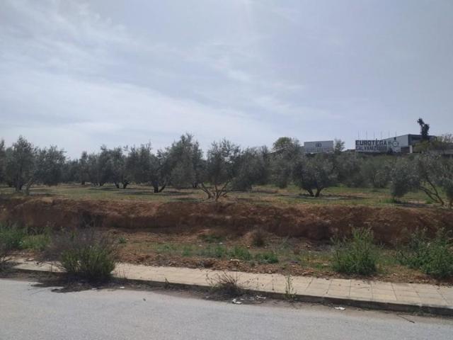 Terreno en venta en Láchar, ENTRADA DE LACHAR photo 0