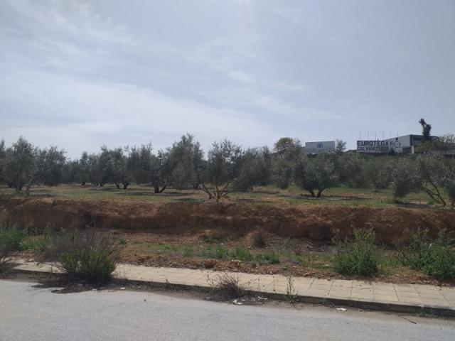 Terreno en venta en Láchar, ENTRADA DE LACHAR photo 0