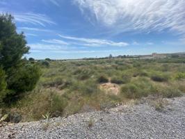 Terreno en venta en Elche, LOS BALSARES photo 0