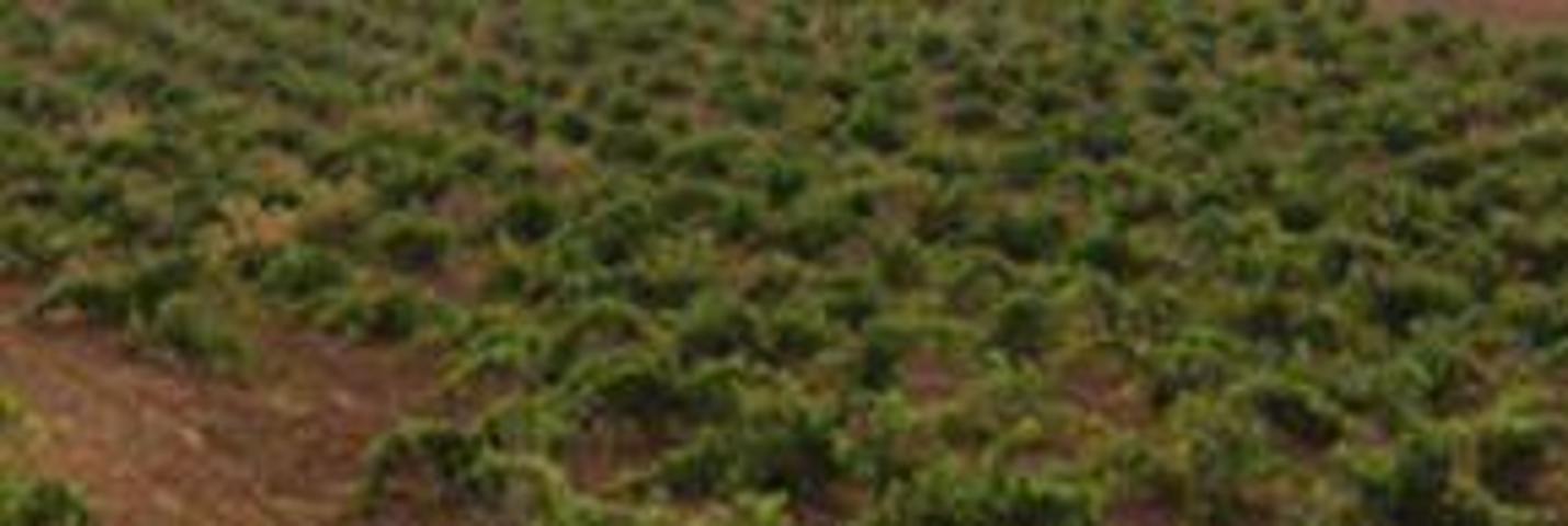 Chalet en venta en Manzanares, Manzanares photo 0