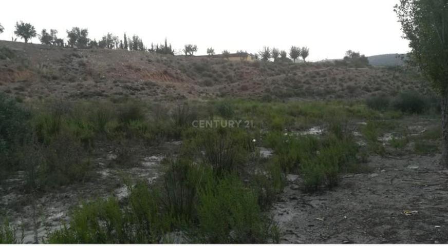 Terreno en venta en Mula, Baños de mula photo 0