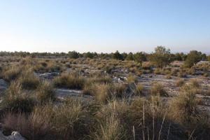 Terreno en venta en Puebla de Don Fadrique, Andalucia photo 0