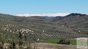 Casa en venta en Alcalá la Real photo 0