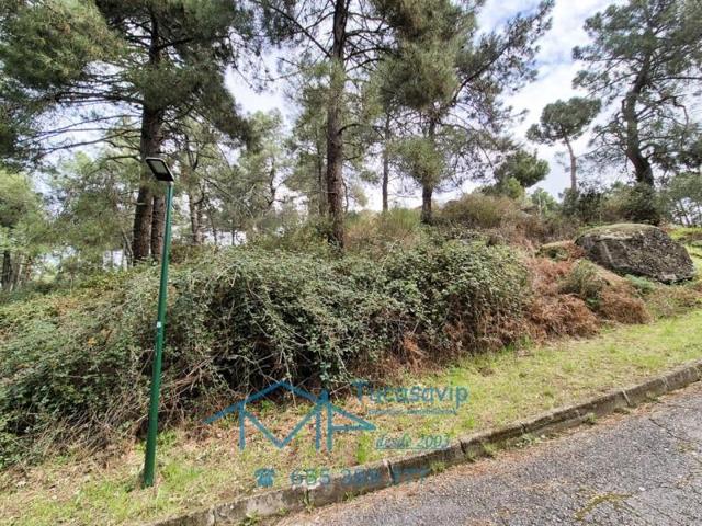 Terreno en venta en Cadalso de los Vidrios photo 0