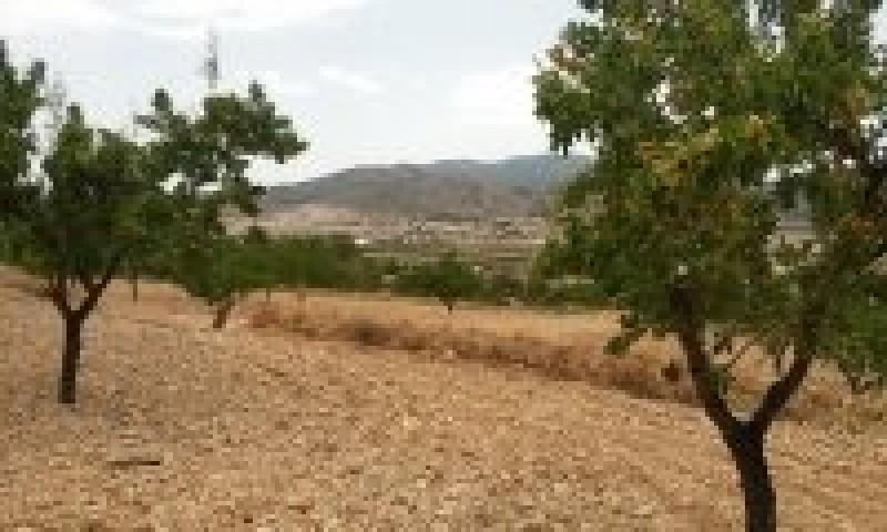 Terreno en venta en Los Balsares, BALSERES photo 0