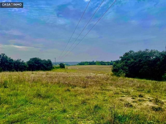 Terreno en venta en Barbastro, San ramon photo 0