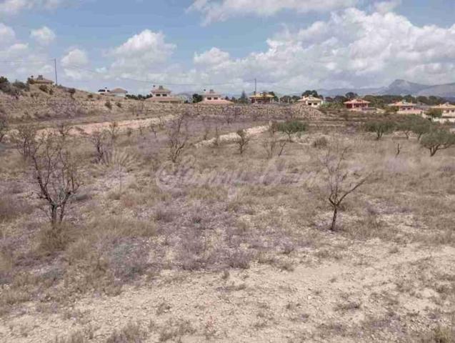 Terreno en venta en Monovar-Monover photo 0