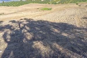 Terreno en venta en Alhaurín el Grande, Alhaurín el Grande photo 0