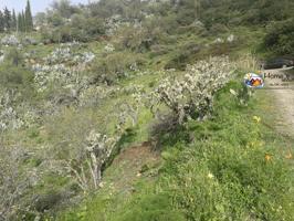 Chalet en venta en Vega de San Mateo, Camaretas photo 0