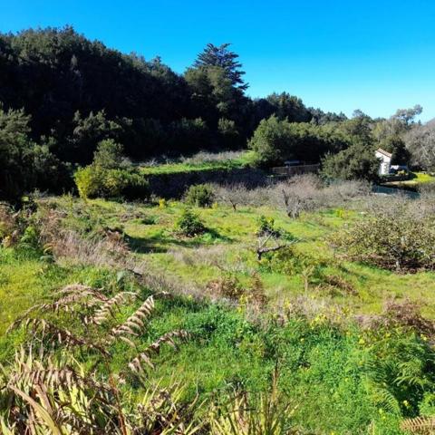 Terreno en venta en Santa Cruz de Tenerife, Calle Hoya de Manzaneros, 38355 photo 0