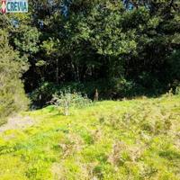 Terreno en venta en Tacoronte, Agua García photo 0