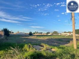 Terreno en venta en Conil de la Frontera, El colorado photo 0