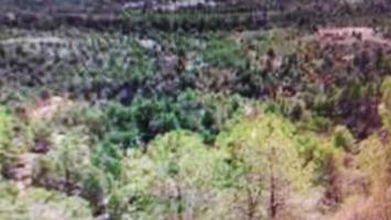 Terreno en venta en Letur photo 0