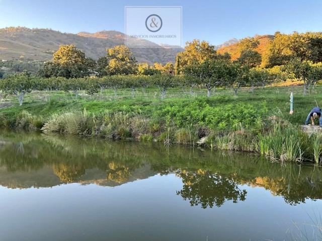 Chalet en venta en Candeleda photo 0