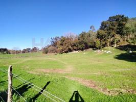 Terreno en venta en Solórzano photo 0