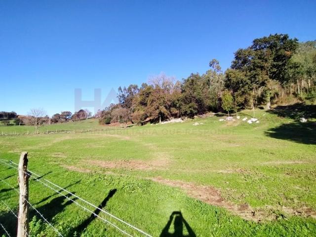 Terreno en venta en Solórzano photo 0