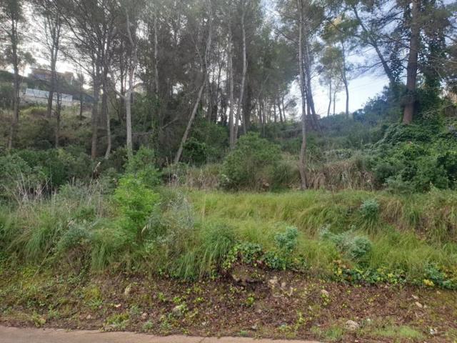 Terreno en venta en Olivella, Mas Mestre photo 0