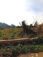 Terreno en venta en O Rosal photo 0