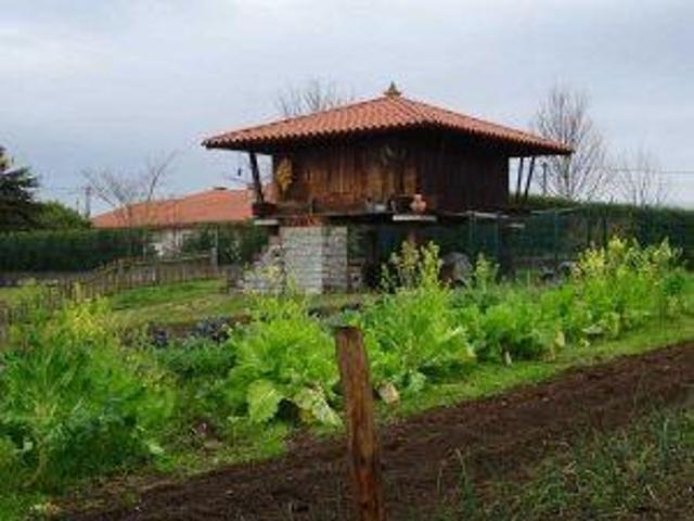Terreno en venta en Pola de Siero, La carrera photo 0