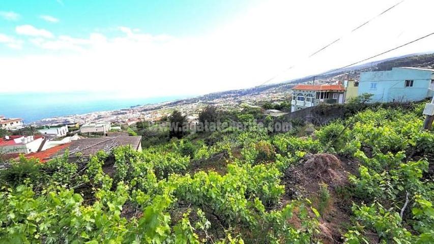 Terreno en venta en Icod de los Vinos, Tenerife North photo 0