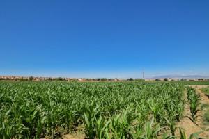 Chalet en venta en Cúllar Vega, Pago bajo photo 0