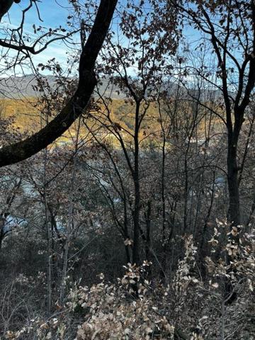 Terreno en venta en Montferrer i Castellbò, Balcó del Pirineu photo 0