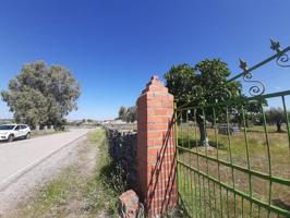 Terreno en venta en Albalá, Albalá photo 0