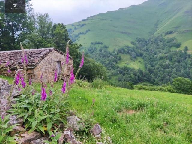 Casa en venta en Vega de Pas, Vega de pas photo 0