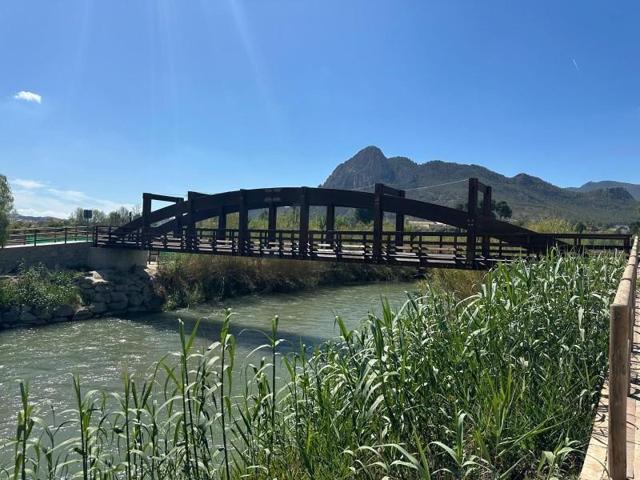 Terreno en venta en Cieza, CENTRO photo 0