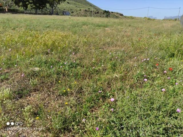 Terreno en venta en Lorca, Purias photo 0