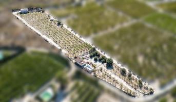 Casa con terreno en venta en Cieza, Paraje - de la Carrasquilla photo 0